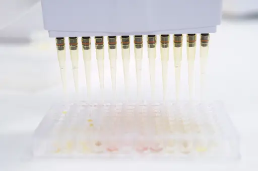 Vitamin E Colorimetric ELISA Assay Kit