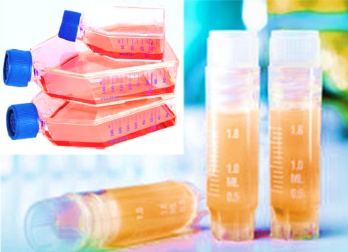 [SK-25CELL-118] Mouse Peritoneal Macrophages