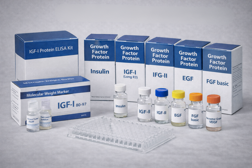 [FU020] Human IGF-II (Receptor Grade)